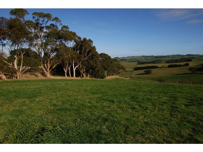 699 KOETSVELDT ROAD, Ryanston VIC 3992