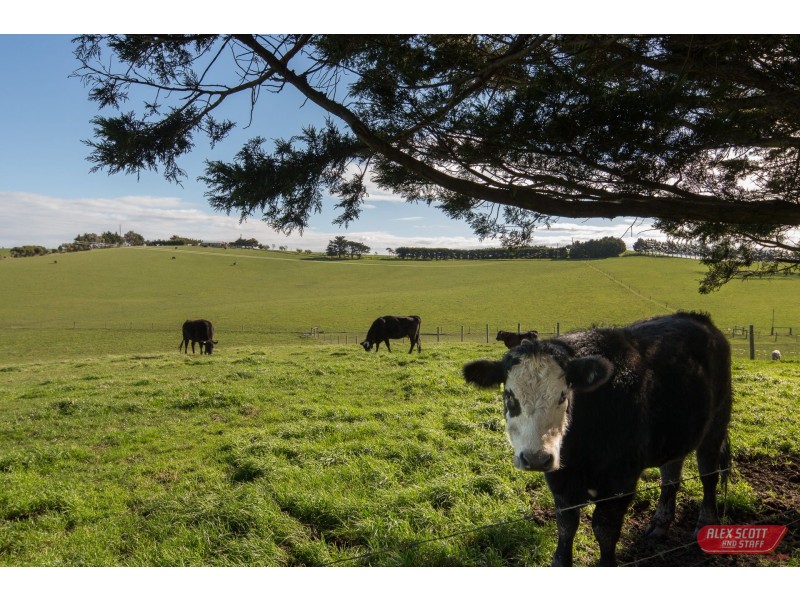 41 MILL ROAD, Woolamai VIC 3995