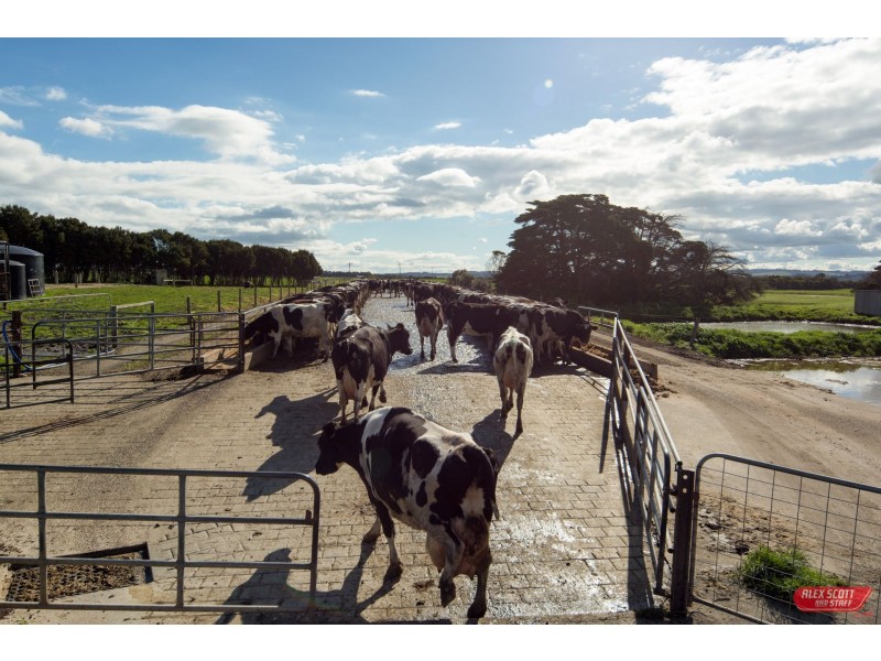 465 HESLOPS ROAD, Wonthaggi VIC 3995