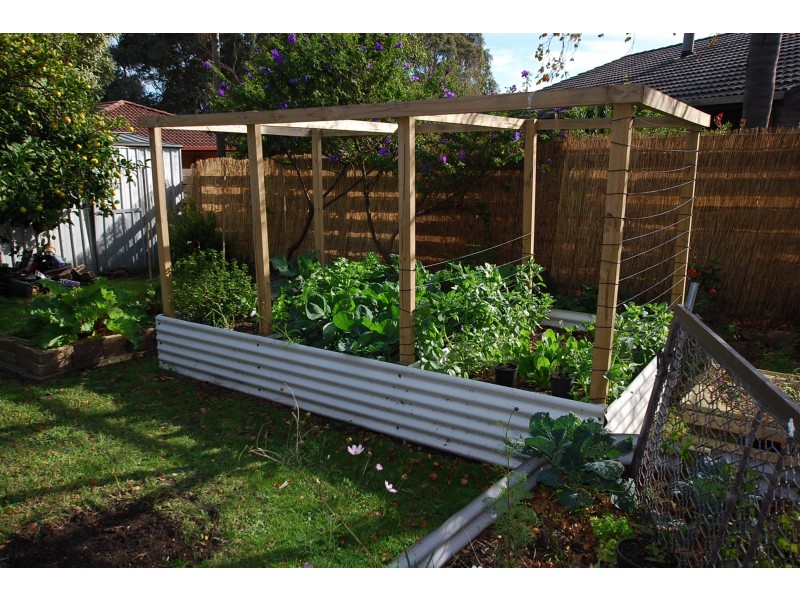 101 KORUMBURRA ROAD, Wonthaggi VIC 3995