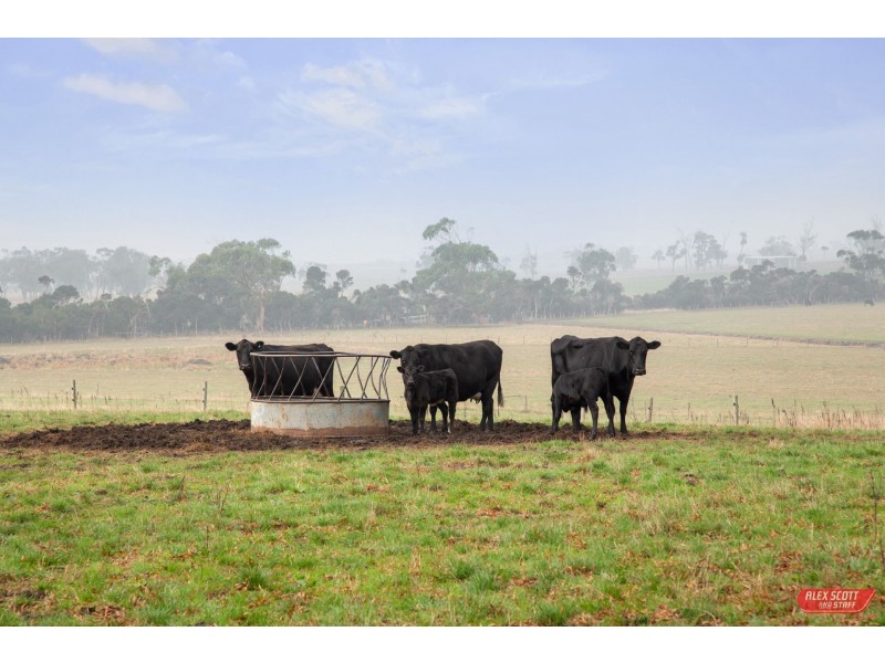 390 OUTTRIM- INVERLOCH ROAD, Kongwak VIC 3951