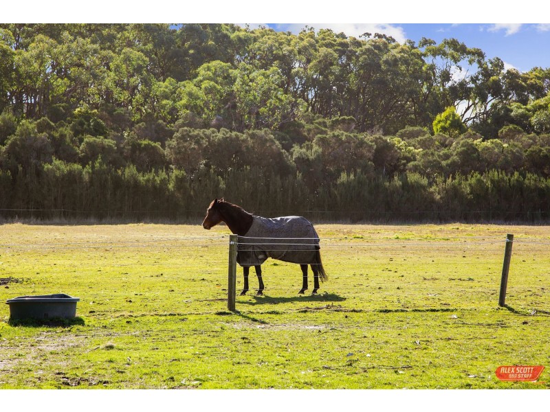 490 WEST CREEK ROAD, Wonthaggi VIC 3995