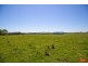 CA5 HESLOP ROAD, Dalyston VIC 3992