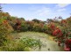 164 REED CRESCENT, Wonthaggi VIC 3995
