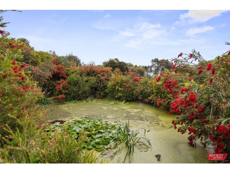 164 REED CRESCENT, Wonthaggi VIC 3995