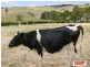 2078 LOCH – WONTHAGGI ROAD, Ryanston VIC 3992