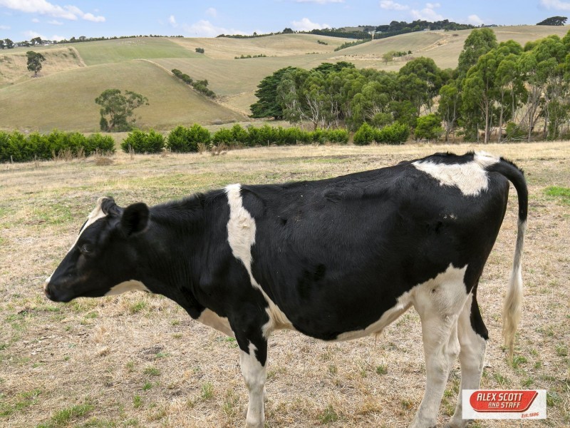 2078 LOCH – WONTHAGGI ROAD, Ryanston VIC 3992