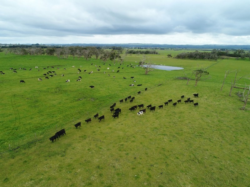 64A HONEYS ROAD, Wonthaggi VIC 3995