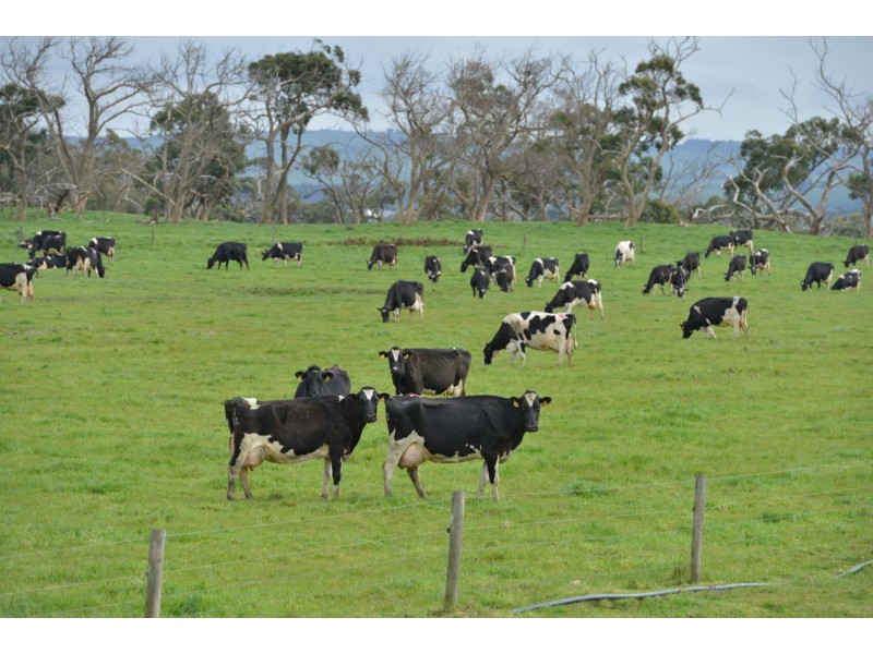 64A HONEYS ROAD, Wonthaggi VIC 3995