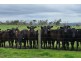 64A HONEYS ROAD, Wonthaggi VIC 3995