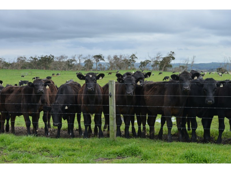 64A HONEYS ROAD, Wonthaggi VIC 3995
