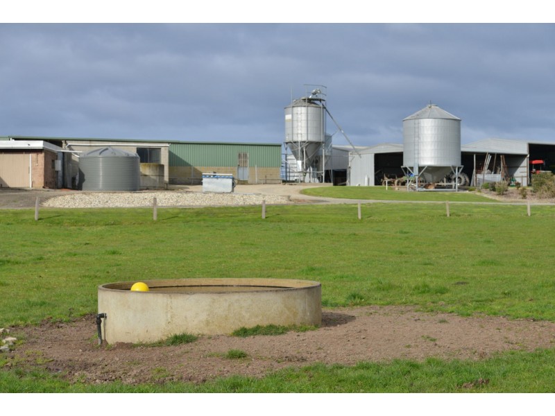 64A HONEYS ROAD, Wonthaggi VIC 3995
