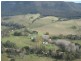 Cann River VIC 3890