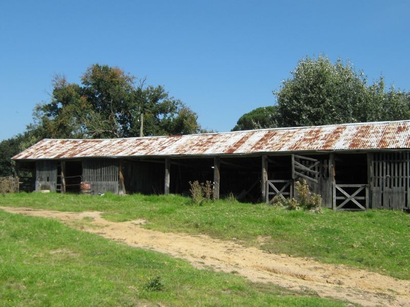 Cann River VIC 3890