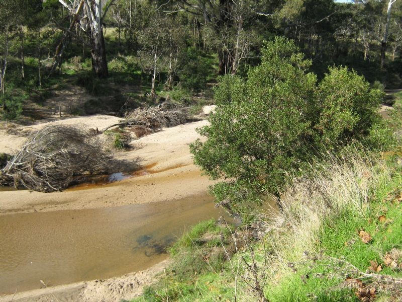 Cann River VIC 3890