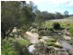 Cann River VIC 3890