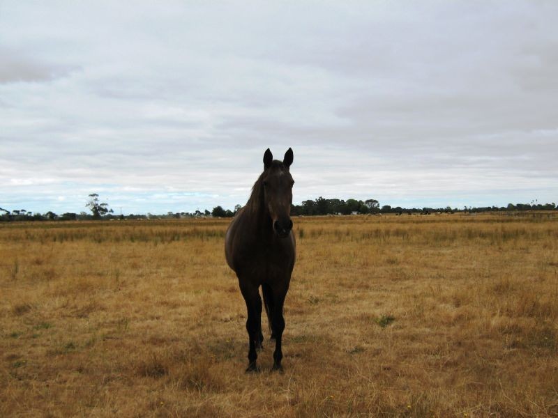 Longwarry VIC 3816