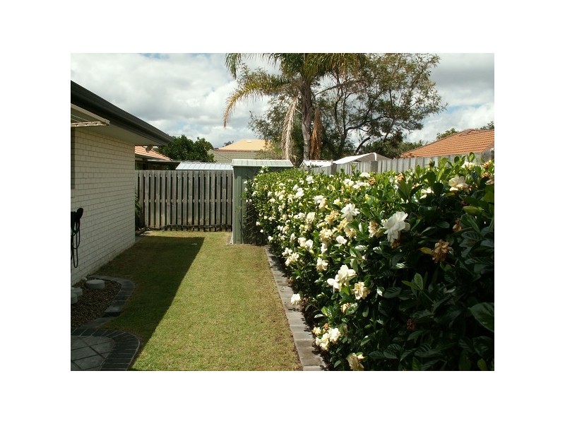 Carina QLD 4152