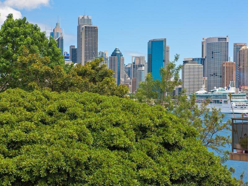 11/6 Waruda St, Kirribilli NSW 2061
