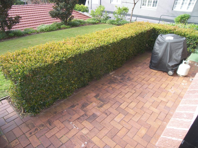 LG1/274 New South Head Road, Double Bay NSW 2028