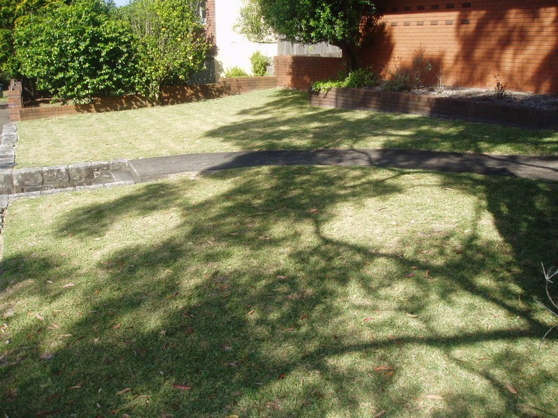 1/33 Heydon St, Mosman NSW 2088