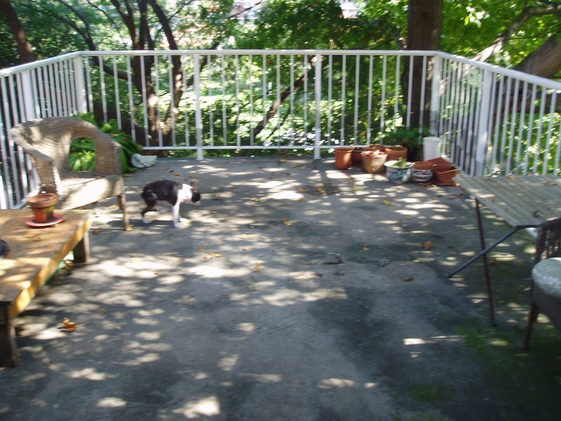 2/20 Premier St, Neutral Bay NSW 2089