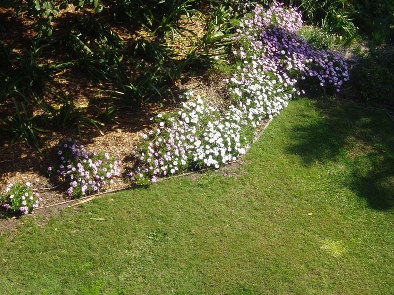 21/30-40 Blues Point Rd, Mcmahons Point NSW 2060