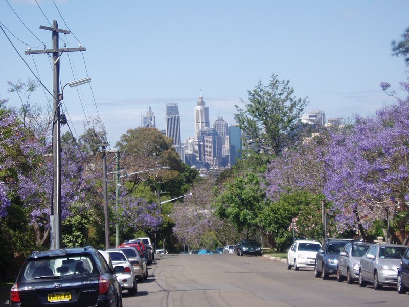 1/34 Premier St, Neutral Bay NSW 2089