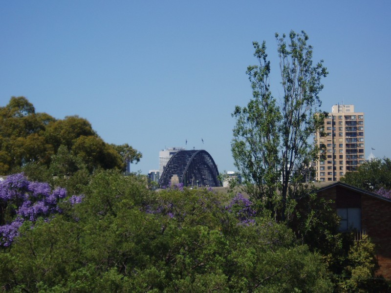 13/64 Ben Boyd Road, Neutral Bay NSW 2089