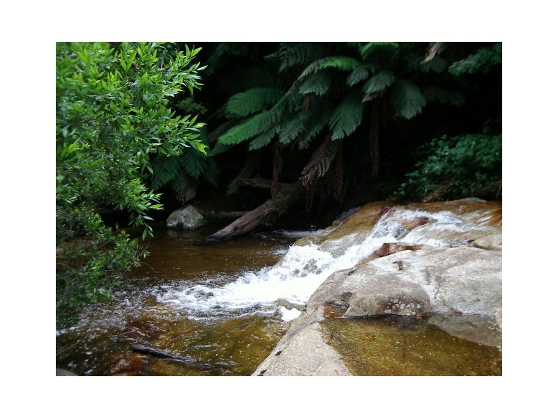 365 Mutual Road, Derby TAS 7264