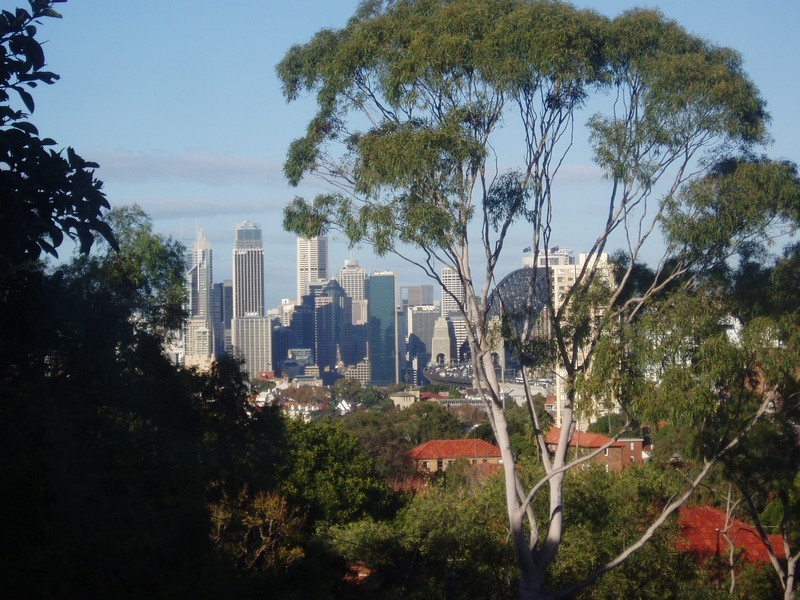 5/7 Premier St, Neutral Bay NSW 2089