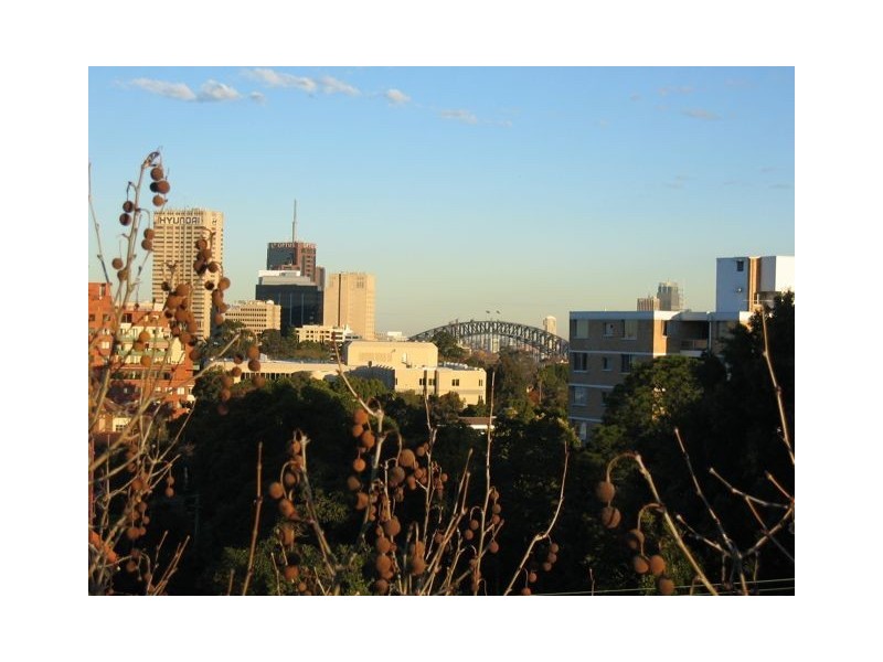 5/124 Shirley Road, Crows Nest NSW 2065