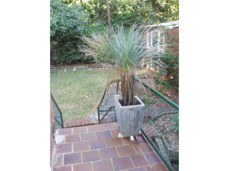 4/2 Hollowforth Ave, Neutral Bay NSW 2089