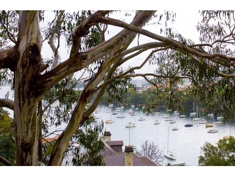 14/6 McLeod Street, Mosman NSW 2088