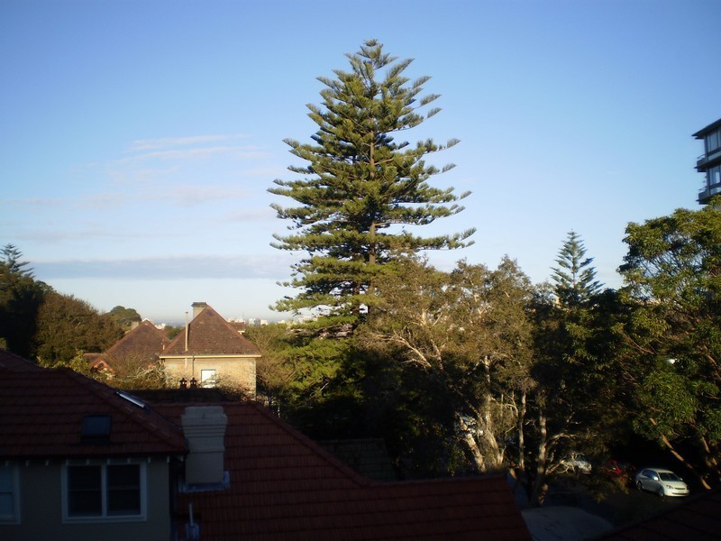 4/113 Shadforth Street, Mosman NSW 2088