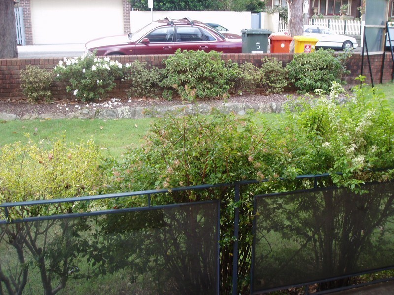 3/5 Harrison St, Neutral Bay NSW 2089