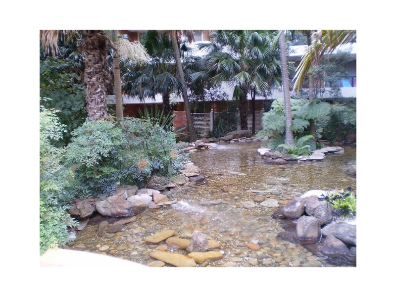 6/49 Lithgow Street, St Leonards NSW 2065