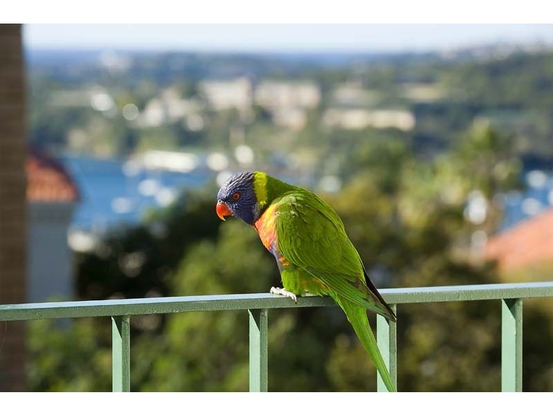 17/20 Rawson Street, Mosman NSW 2088