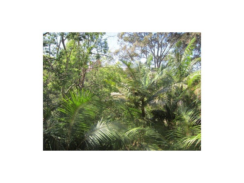 7/89 Bent Street, Neutral Bay NSW 2089