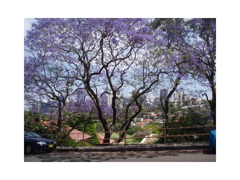 2/34 Premier Street, Neutral Bay NSW 2089