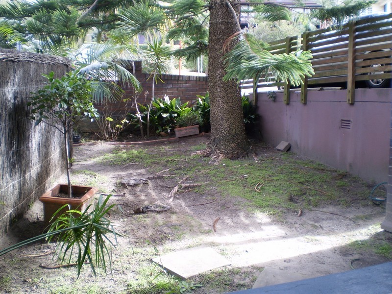 1/35 Shell Cove Rd, Neutral Bay NSW 2089