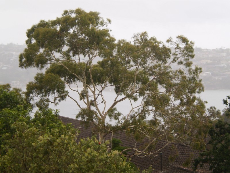 17/39 Stanton Road, Mosman NSW 2088