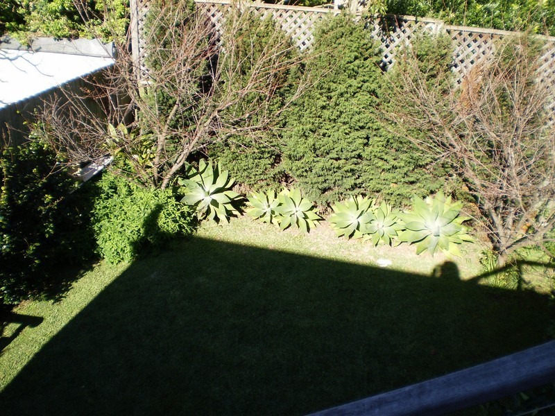 74 Spencer Road, Mosman NSW 2088