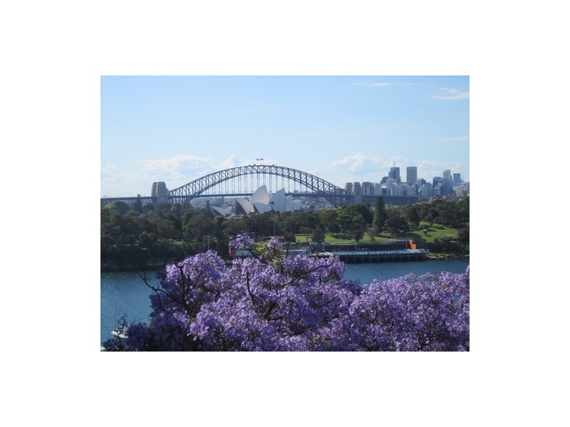 1/11 Wylde Street, Potts Point NSW 2011