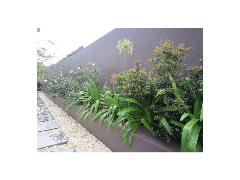 6 Central Avenue, Mosman NSW 2088