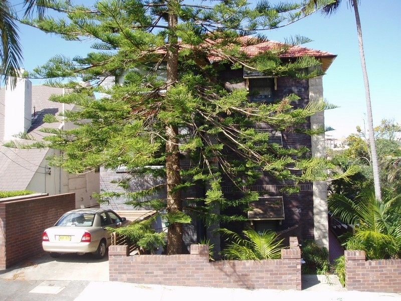 3/35 Shell Cove Rd, Neutral Bay NSW 2089