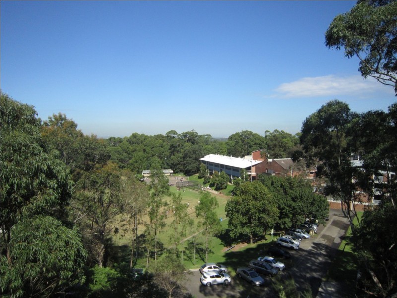 11/1-3  Oliver Road, Chatswood NSW 2067