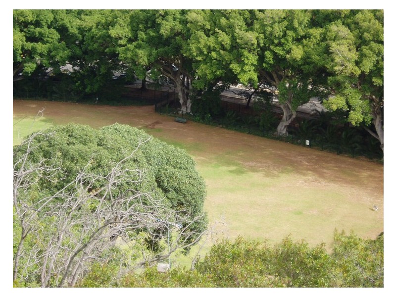 13/3 Colindia Ave, Neutral Bay NSW 2089