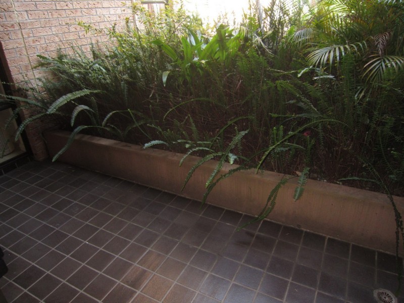 9/66 Spofforth Street, Neutral Bay NSW 2089