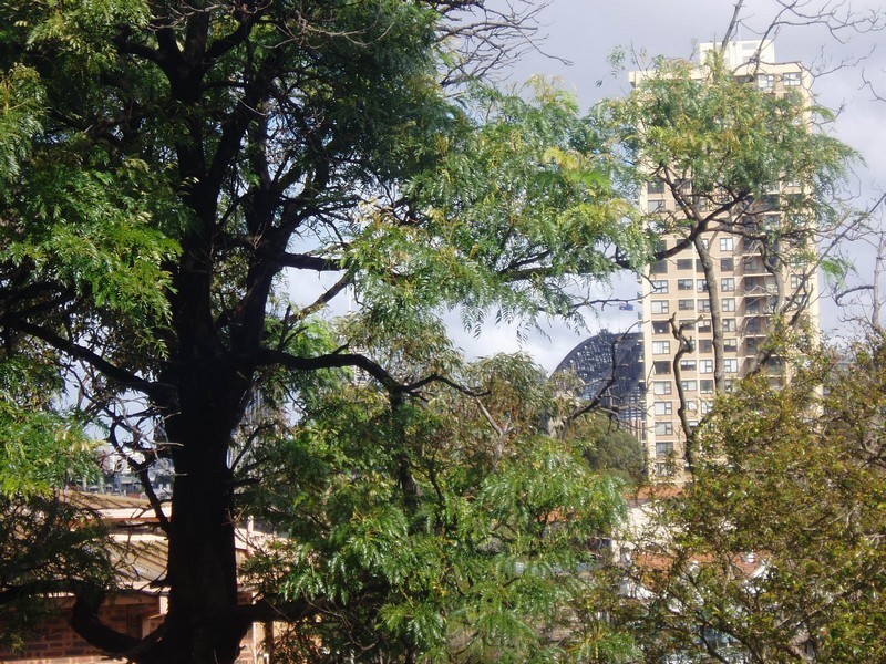 2/3 Colindia Ave, Neutral Bay NSW 2089